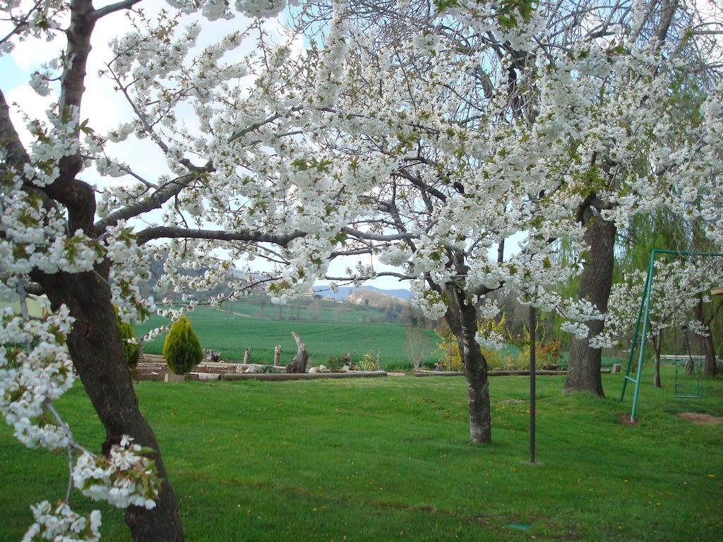 La Riera Bed & Breakfast Vic Bagian luar foto
